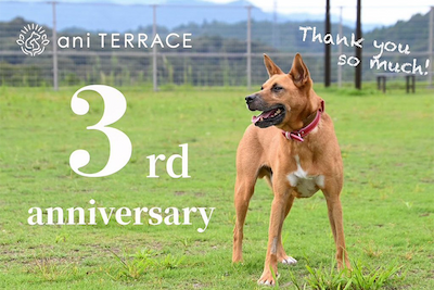ani TERRACE 3rd anniversary