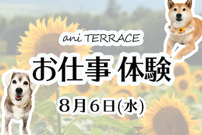 お仕事体験