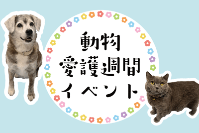 動物愛護週間イベント