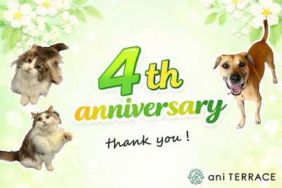 ani TERRACE 4th anniversary