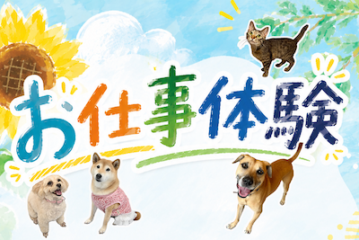 お仕事体験イベント開催