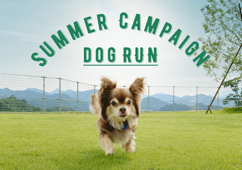 SUMMER CAMPAIGN DOGRUN