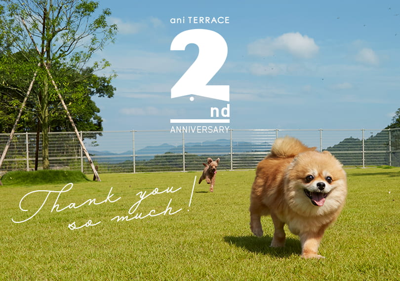 ani TERRACE 2nd ANNIVERSARY