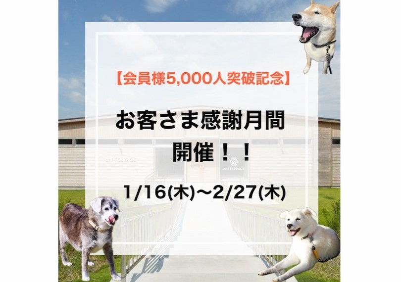 【会員様5,000人突破記念】お客様感謝月間開催！！