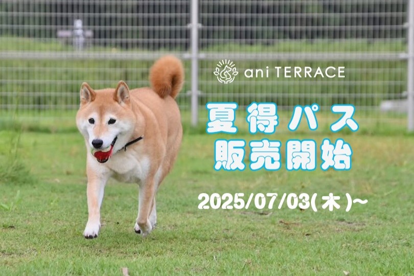 夏得パス販売開始　2025/07/03（木）～