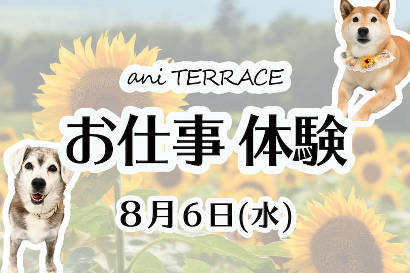 お仕事体験