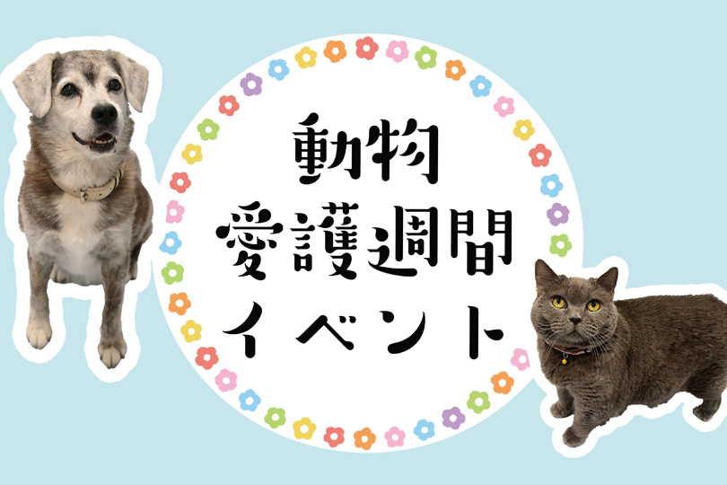 動物愛護週間イベント